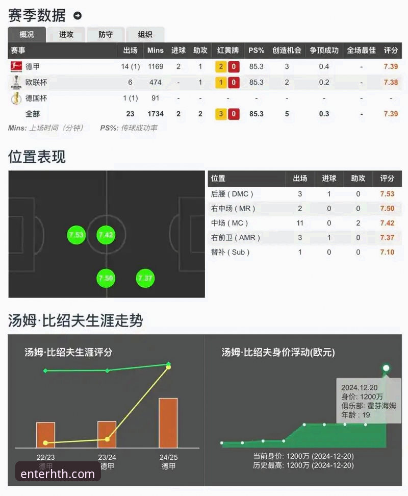 HTH体育平台实战评测详解